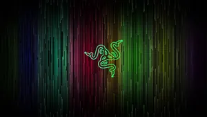 Razer Multicolored Lines Wallpaper