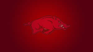 Razorback Pride Is Strong In Arkansas Wallpaper