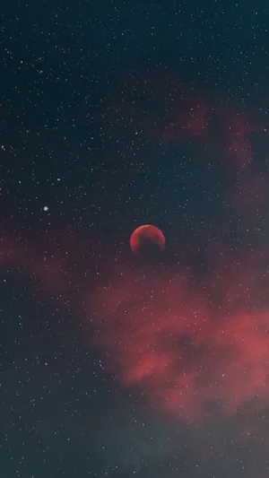 Reach For The Stars! Wallpaper