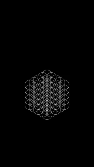 Reaching A Higher Spiritual Plane With The Flower Of Life Wallpaper