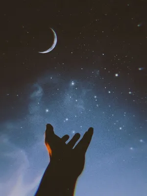 Reaching For The Crescent Moon.jpg Wallpaper