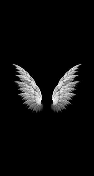 Ready To Fly Wallpaper