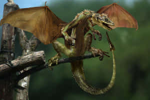 Real Green Scary Dragon Wallpaper