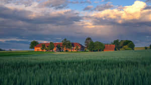 Reaping The Rewards Of A Successful Crop Of Cool Farming. Wallpaper