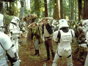 Rebels Prepare To Fight Imperial Forces At The Battle Of Endor Wallpaper
