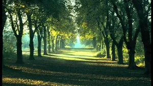 Recharge Your Mind With A Moment Of Relaxation Wallpaper