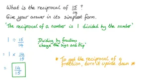 Reciprocal Math Explanation Wallpaper