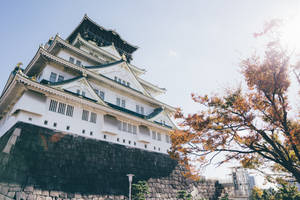 Reconstructed Osaka Castle Wallpaper