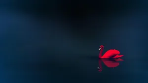 Red 4k Uhd Swan Wallpaper