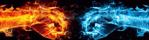 Red And Blue Flames Dance Together In Harmony Wallpaper