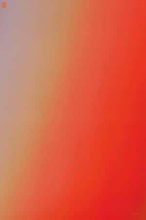 Red And Orange Dragons Wallpaper