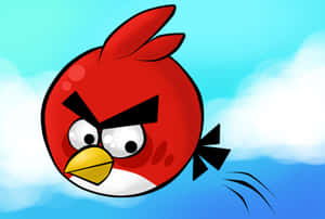 Red Angry Bird Character Wallpaper