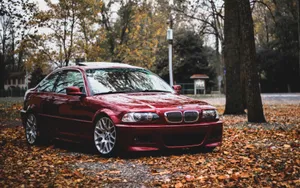 Red B M W E46 Autumn Leaves Backdrop Wallpaper