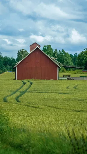 Red Barn In Green Field Wallpaper
