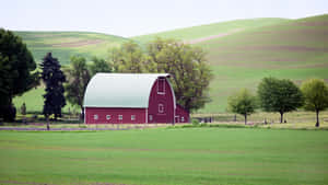 Red Barn On Green Farmland Wallpaper