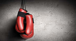 Red Boxing Gloves Hanging Wall Wallpaper