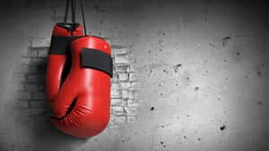 Red Boxing Gloves Hangingon Wall.jpg Wallpaper