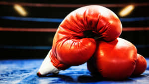 Red Boxing Glovesin Ring Wallpaper