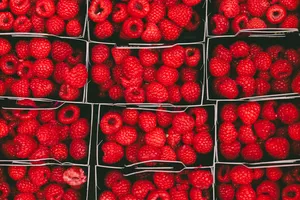 Red Bunch Of Raspberries Wallpaper