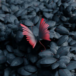 Red Butterflyon Dark Leaves Wallpaper