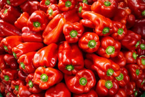 Red Capsicum Bell Pepper Fruits Wallpaper