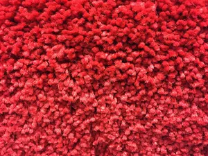 Red Carpet Texture Closeup Wallpaper