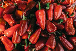 Red Color Chili Peppers Wallpaper