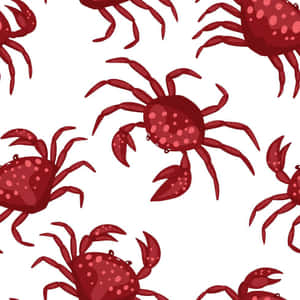 Red Crab Pattern Illustration Wallpaper