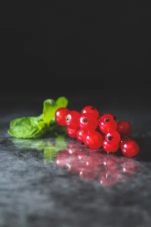 Red Currant Fruit Leaves Display Wallpaper