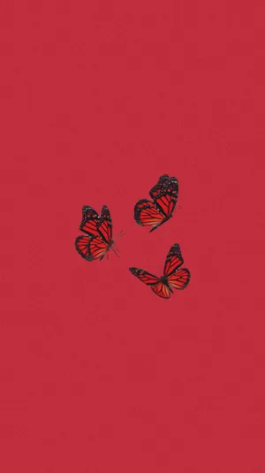 Red Cute Aesthetic Butterflies Wallpaper