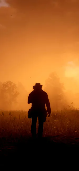 Red Dead Iphone Sunset Silhouette Wallpaper