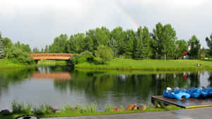 Red Deer Park Rainbow Bridge Wallpaper