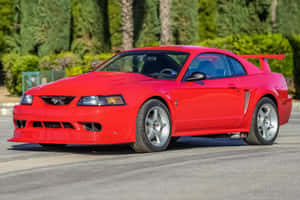 Red Ford Mustang S V T Cobra Parked Wallpaper