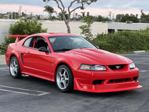 Red Ford Mustang S V T Cobra Parked Wallpaper