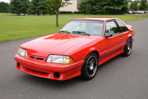 Red Ford Mustang S V T Cobra Parked Wallpaper