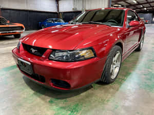 Red Ford Mustang S V T Cobra Showroom Wallpaper