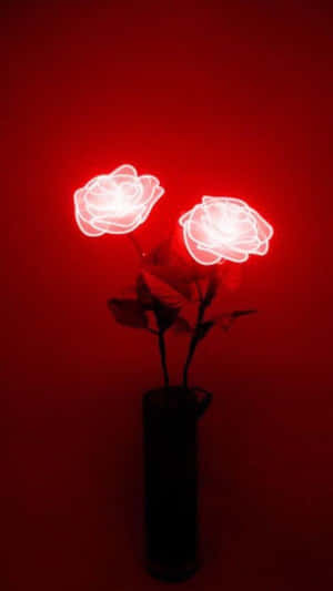 Red Glow Roses Aesthetic Wallpaper