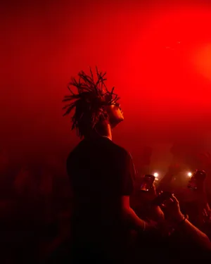 Red Hued Concert Silhouette Wallpaper