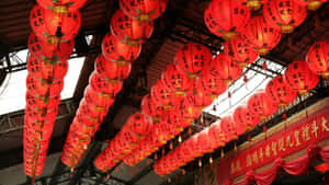 Red Lantern Festival Decorations Wallpaper