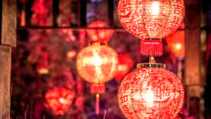 Red Lantern Festival Lights Wallpaper