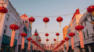 Red Lantern Festival Street Wallpaper