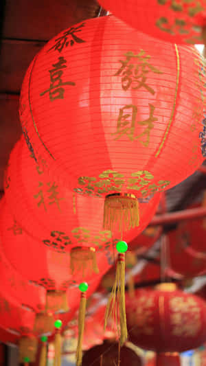 Red Lanterns For Spring Festival Wallpaper