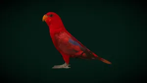 Red Lory Bird Profile Wallpaper