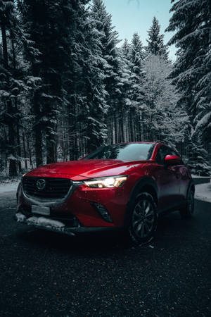 Red Mazda 6 Winter Trees Wallpaper