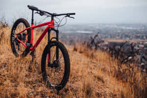 Red Mountain Bike Overlooking City Wallpaper