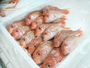 Red Mullet On Fish Market Wallpaper
