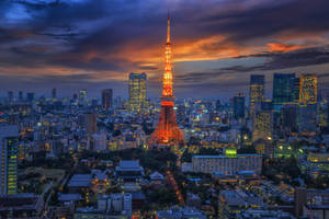 Red Orange Tokyo Tower Wallpaper