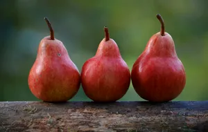 Red Pears For Good Health Wallpaper