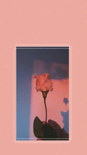 Red Retro 80s Aesthetic Pink Rose Wallpaper