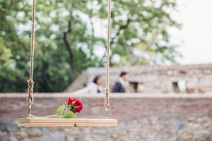 Red Rose Flower On A Swing Wallpaper